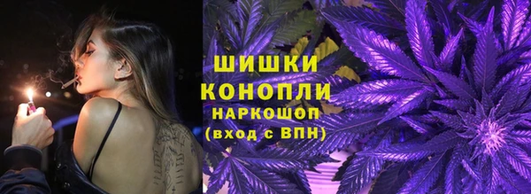 ПСИЛОЦИБИНОВЫЕ ГРИБЫ Абаза