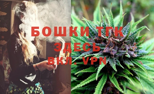 ПСИЛОЦИБИНОВЫЕ ГРИБЫ Абаза