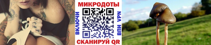 Псилоцибиновые грибы Psilocybe  OMG вход  Мамоново  купить наркоту 